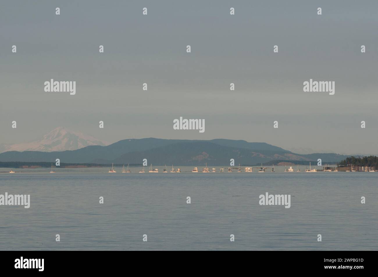 Sailboats and recreational boats making an optical illusion in the Gulf