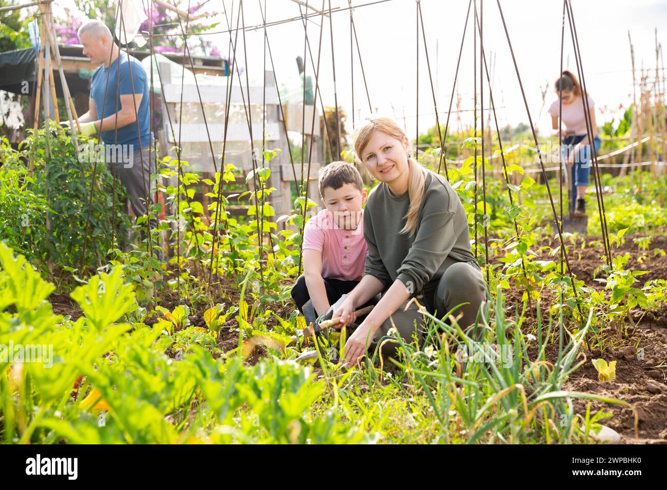 Tween boy helping mother work in vegetable garden Stock Photo - Alamy