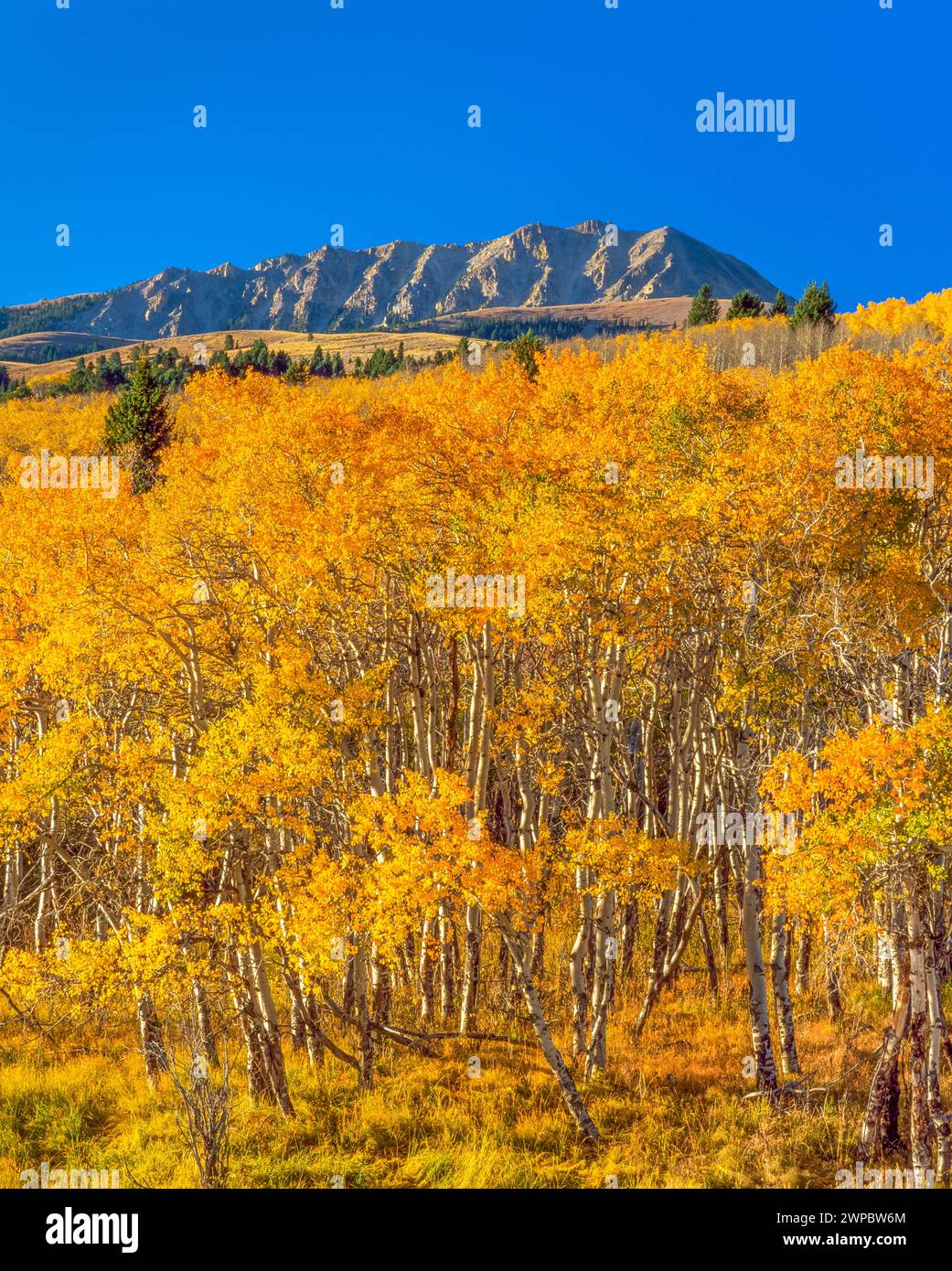 Mt 3868 hires stock photography and images Alamy