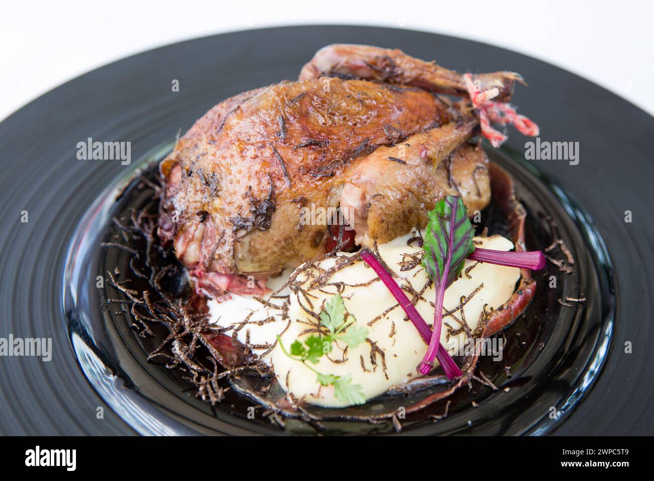 Pigeon de racan roti or roast pigeon is a traditional french culinary dish. Stock Photo