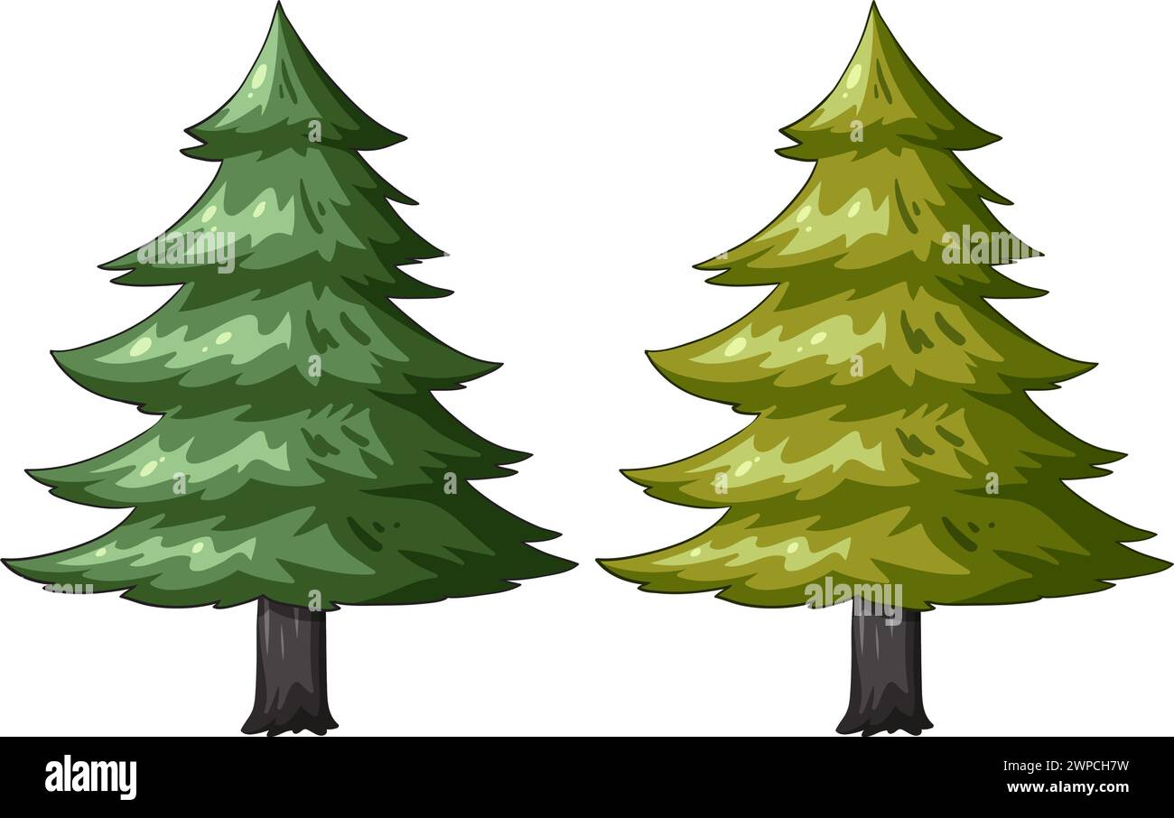 Two stylized evergreen trees in a vector style Stock Vector Image & Art