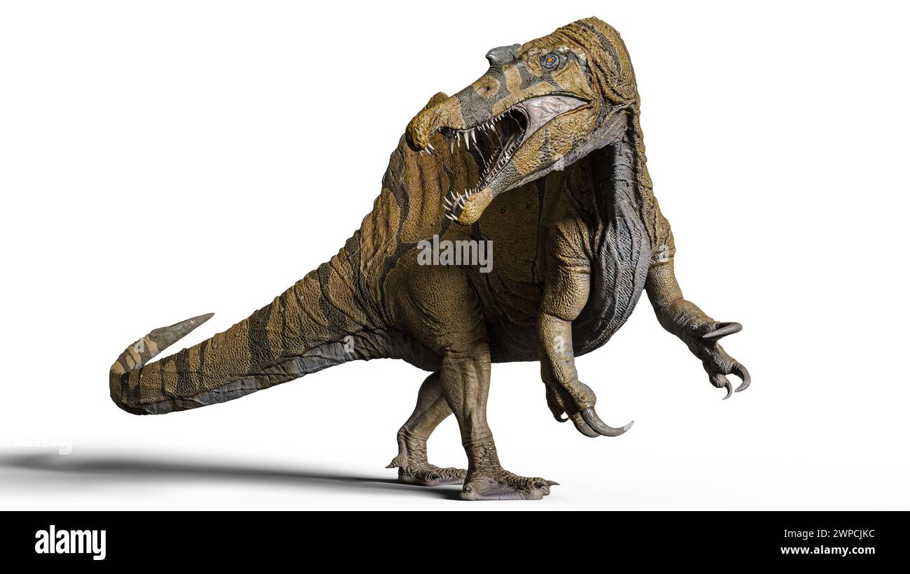 Spinosaurus is a genus of spinosaurid dinosaur that lived in what now is North Africa during the Cenomanian late Cretaceous period. Stock Photo