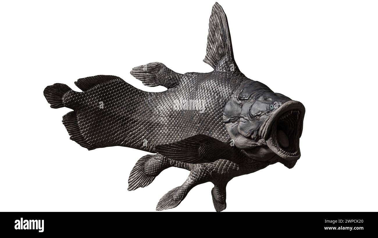 Mawsonia is an extinct genus of prehistoric coelacanth fish. It is ...