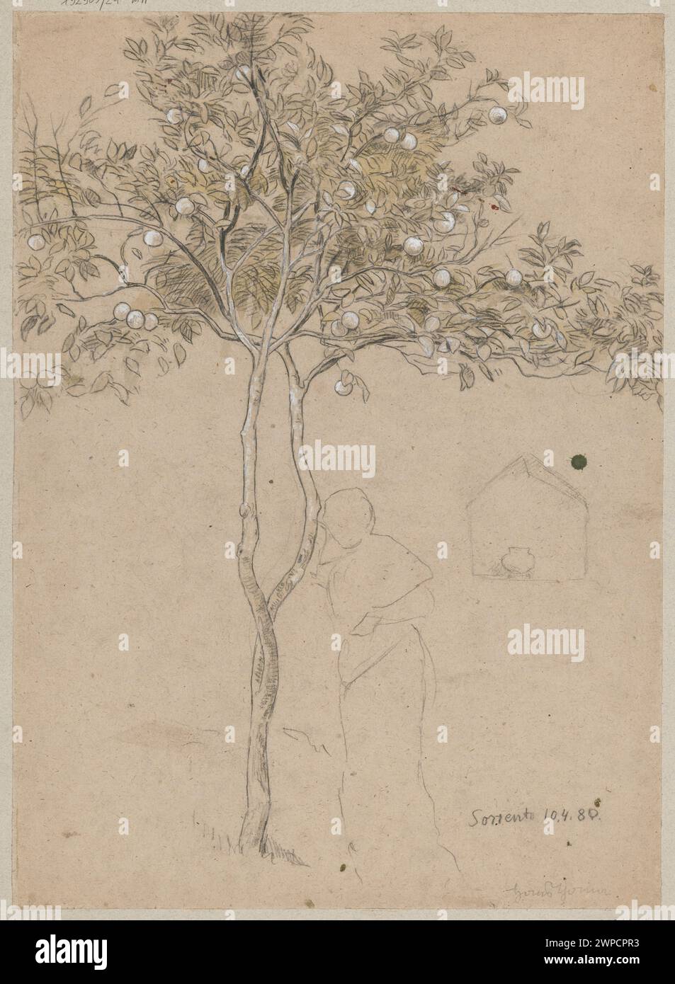 Thoma Tree An 1880 study by Hans Thoma of a tree from Sorrento, Italy, including a ...