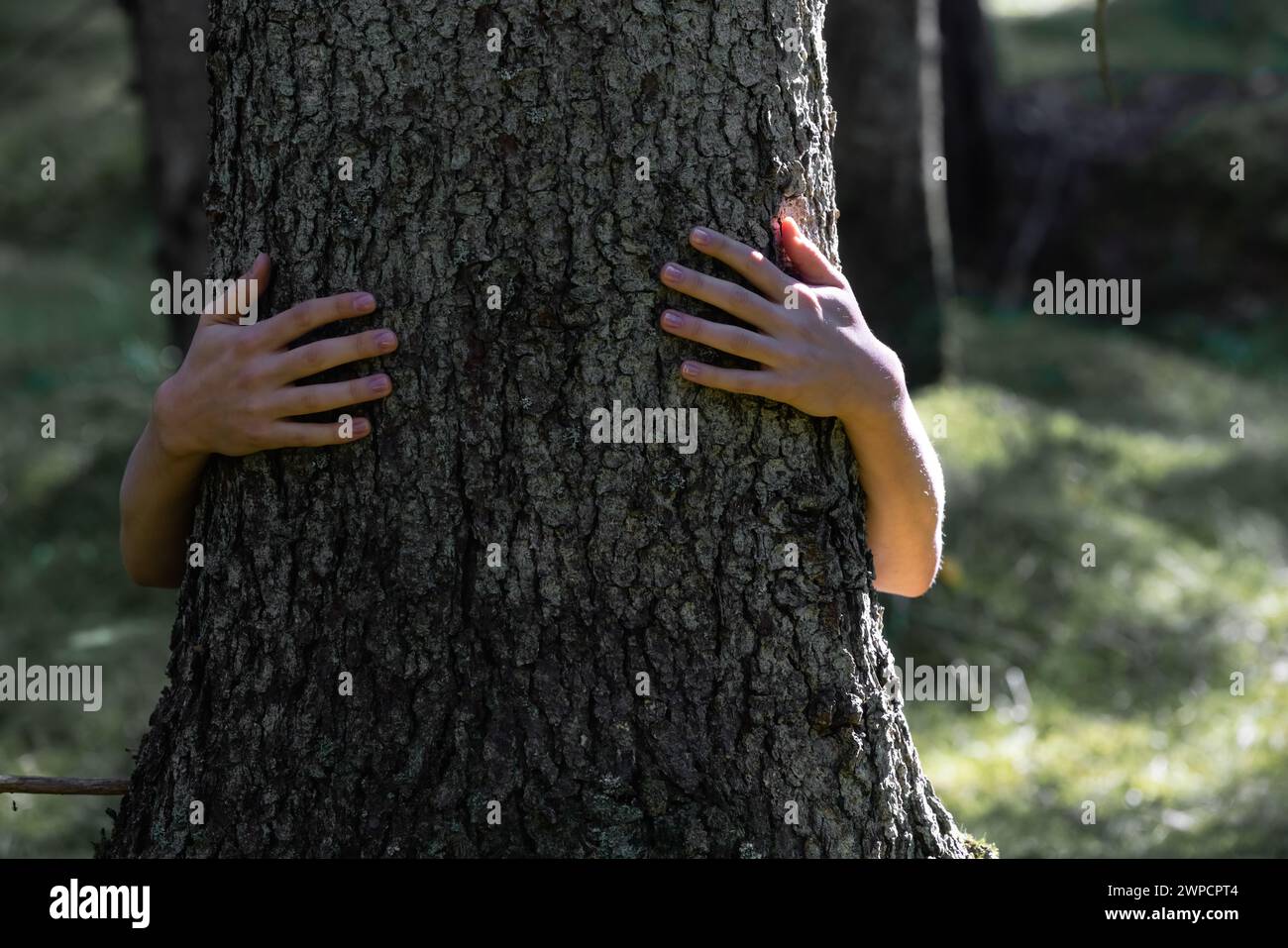 Nature lover hugging trunk tree with green musk in tropical woods ...