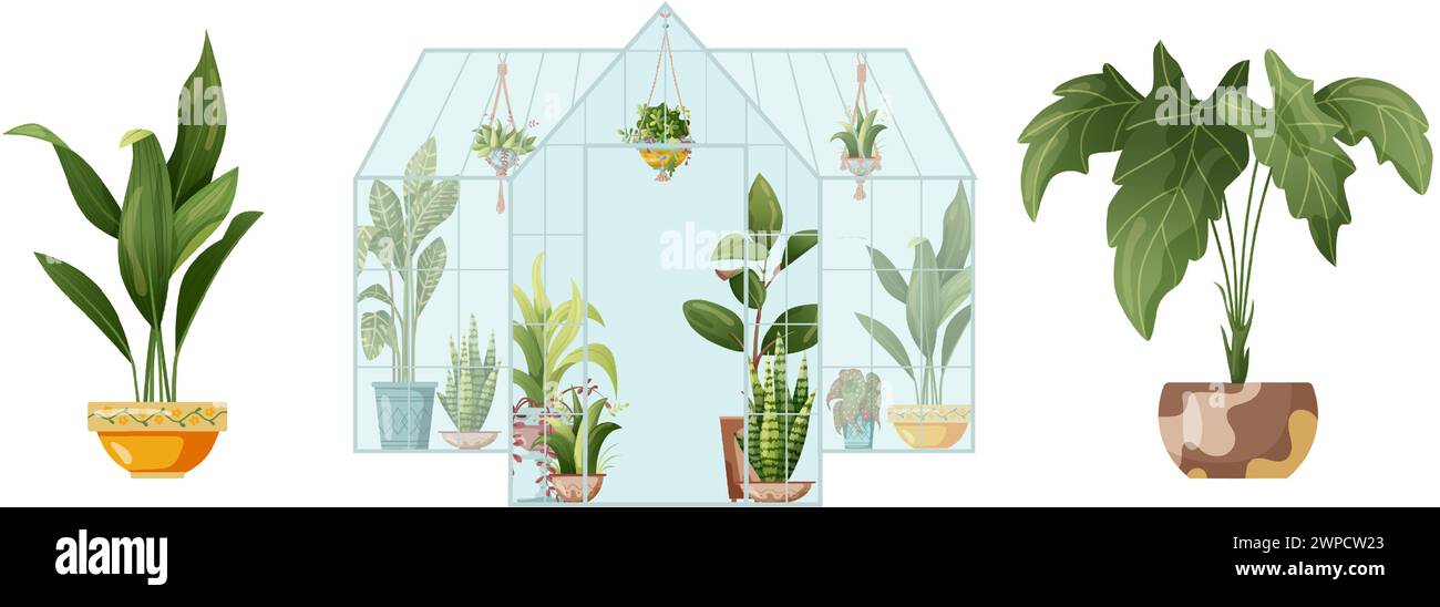 Houseplant and macrame plant growing in pots. Set of handmade home ...