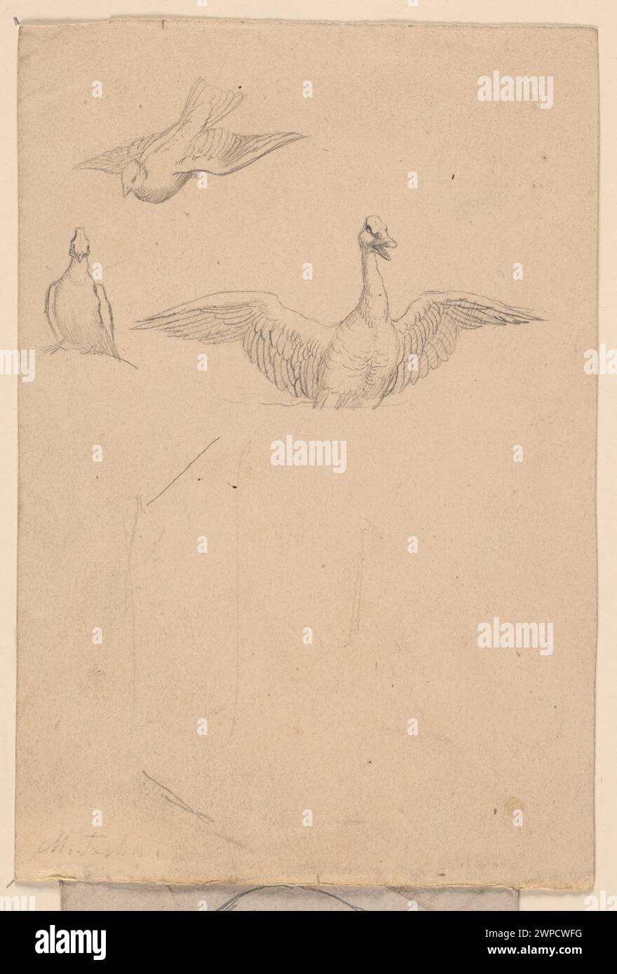 Two go and duck; Koska, Ferdinand (1808-1862); 1828-1862 (1828-00-00-1862-00-00); Stock Photo