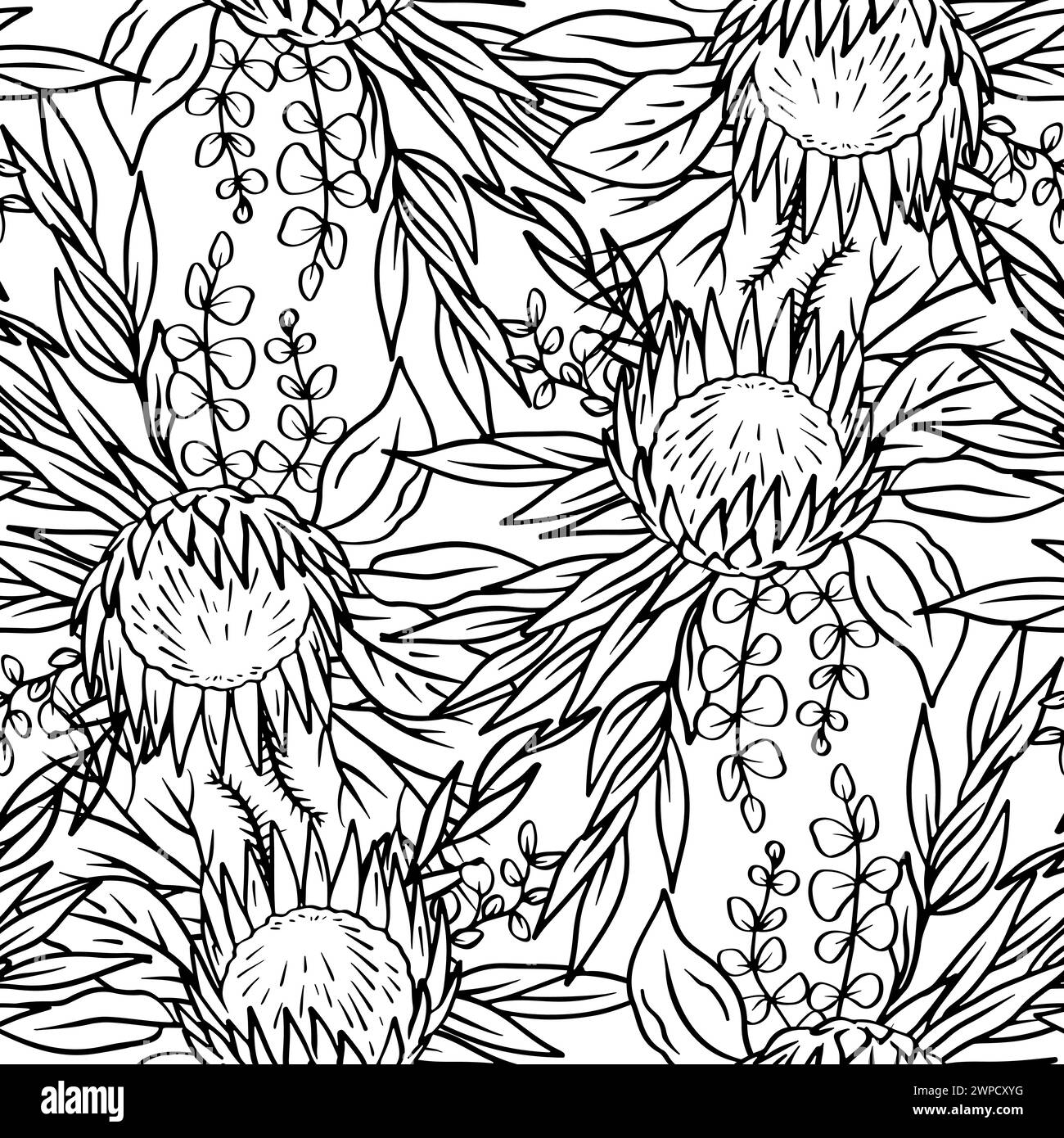 Black and white seamless pattern with line art protea flowers Stock ...