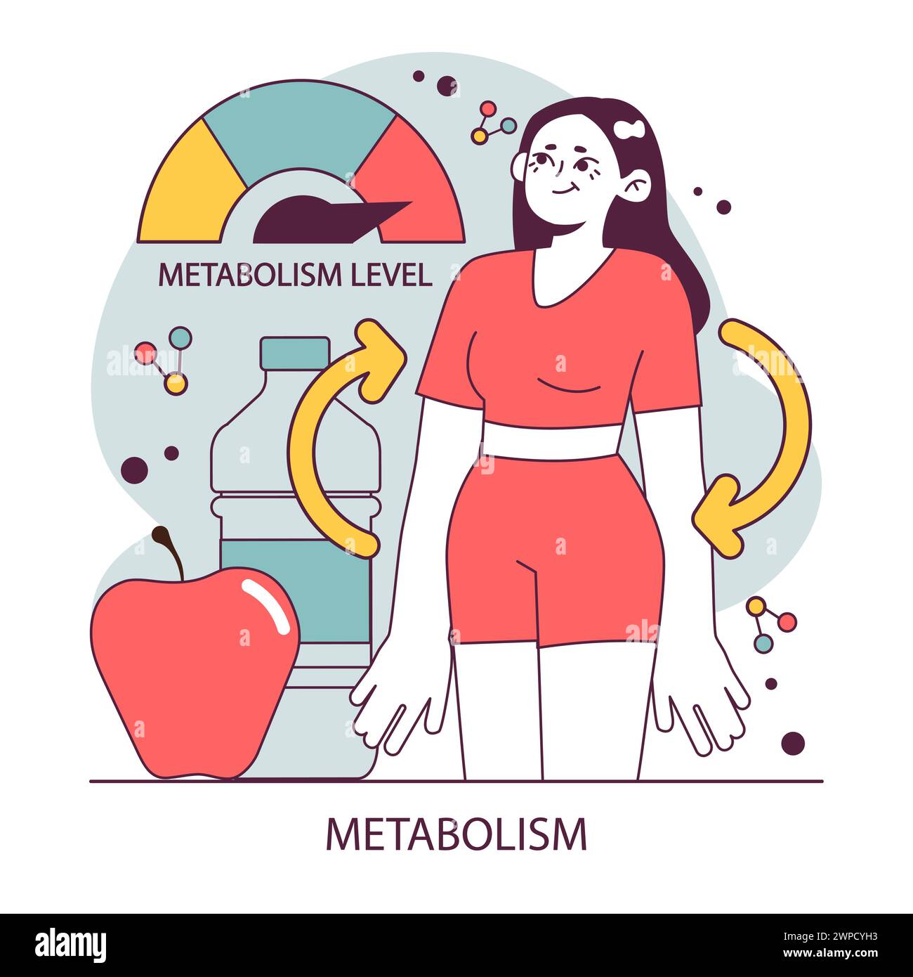 Endocrine system function. Cellular metabolism. Biochemical reaction in ...