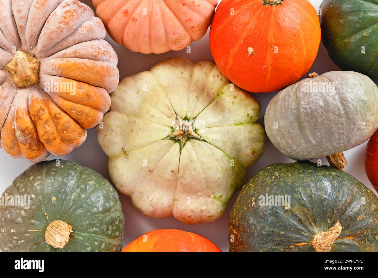 Top view of different pumpkin and squash mix Stock Photo