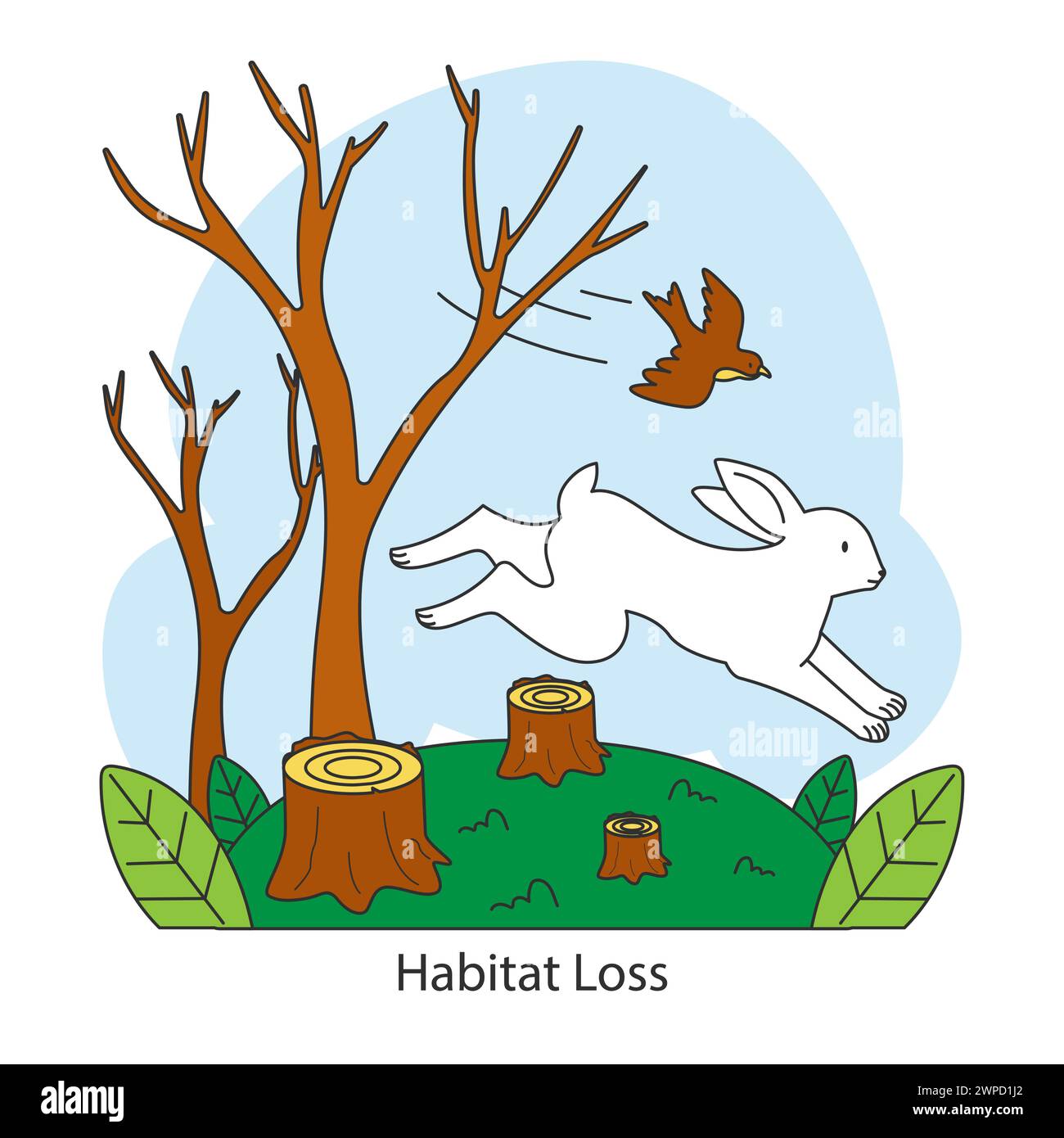 Habitat loss. Animals flee a deforested area. Tree stumps, a running