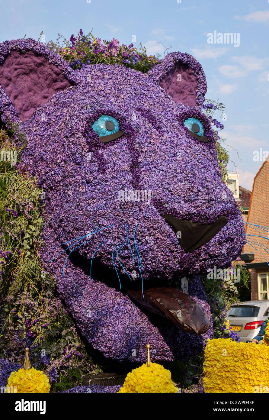 Noordwijkerhout, Netherlands - April 21, 2023: A lion made of tulips and hyacinths presented before the evening illuminated Bollenstreek flower parade Stock Photo