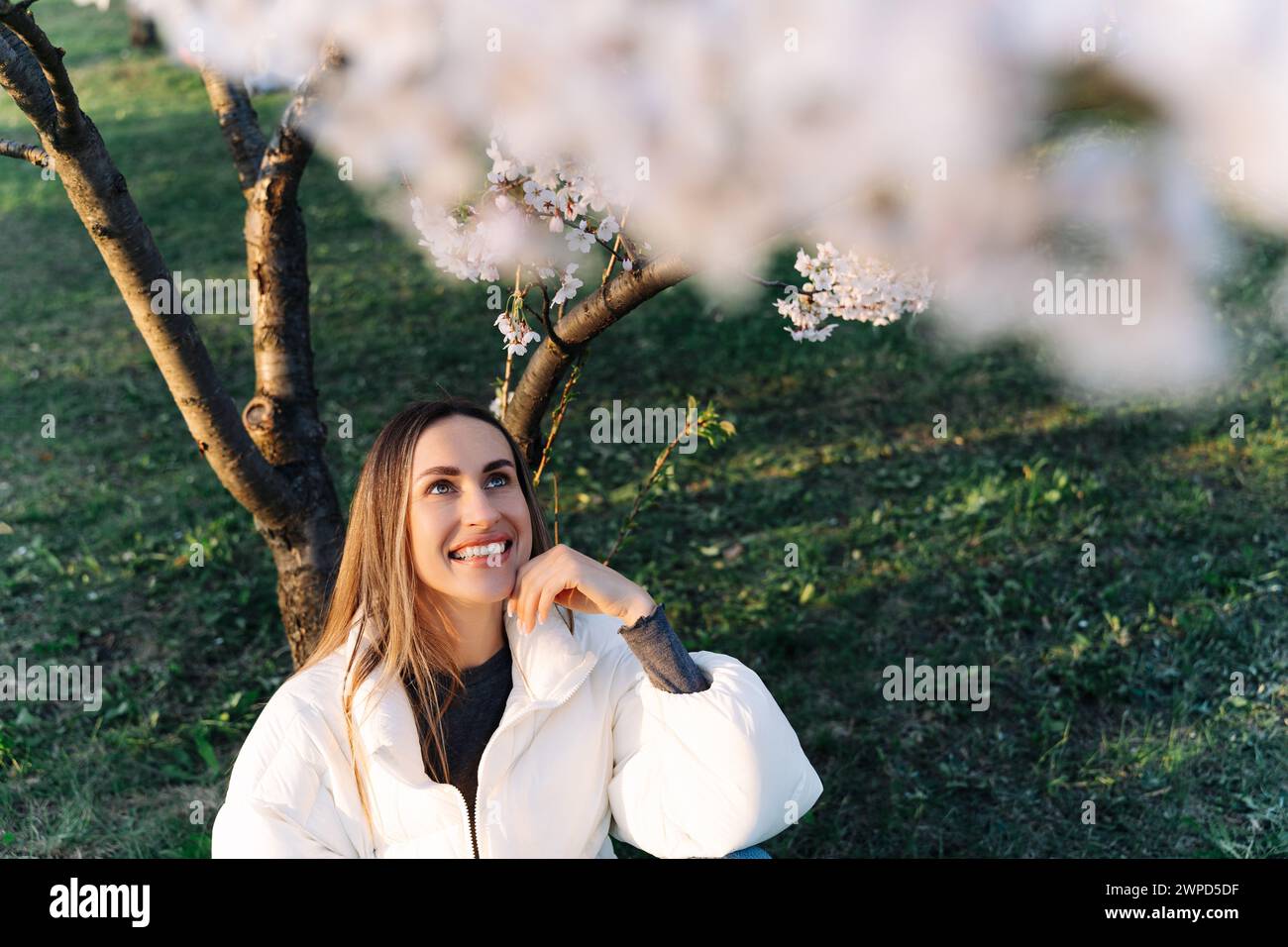 Beautiful woman in a white jacket sits under blooming tree in city park in spring Stock Photo