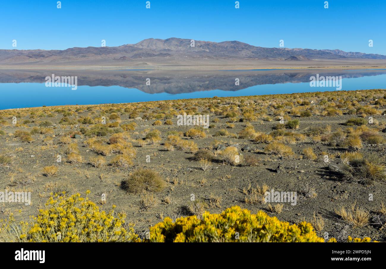 Lake Mead and desert landscape. Stock Photo