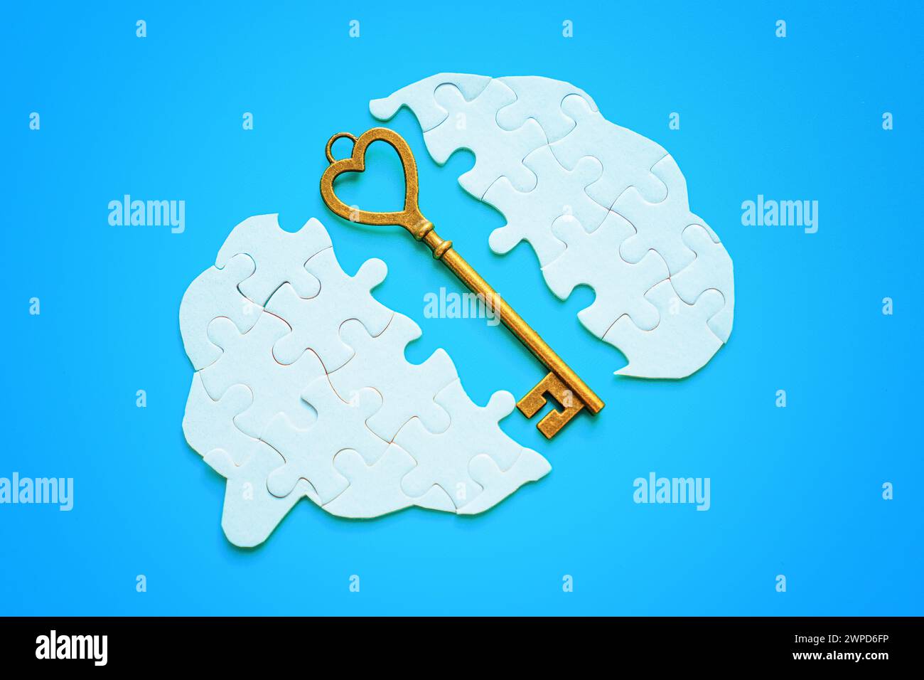 Human brain-shaped puzzle split into two halves, with a long bronze key lying between them. Problem-solving, cognition and unlocking intellectual pote Stock Photo