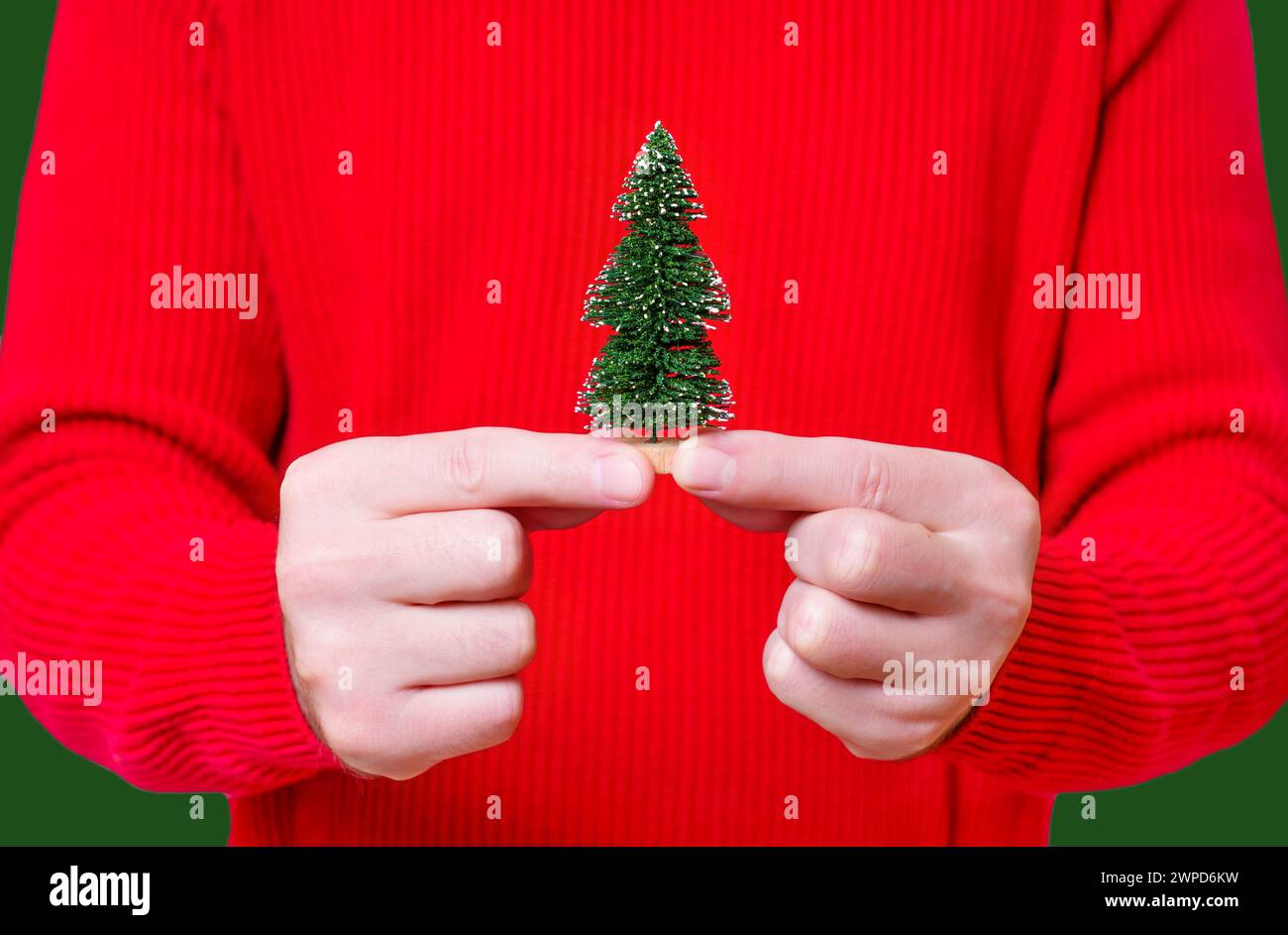 Person in red sweater holding a tiny New Year tree isolated on green ...
