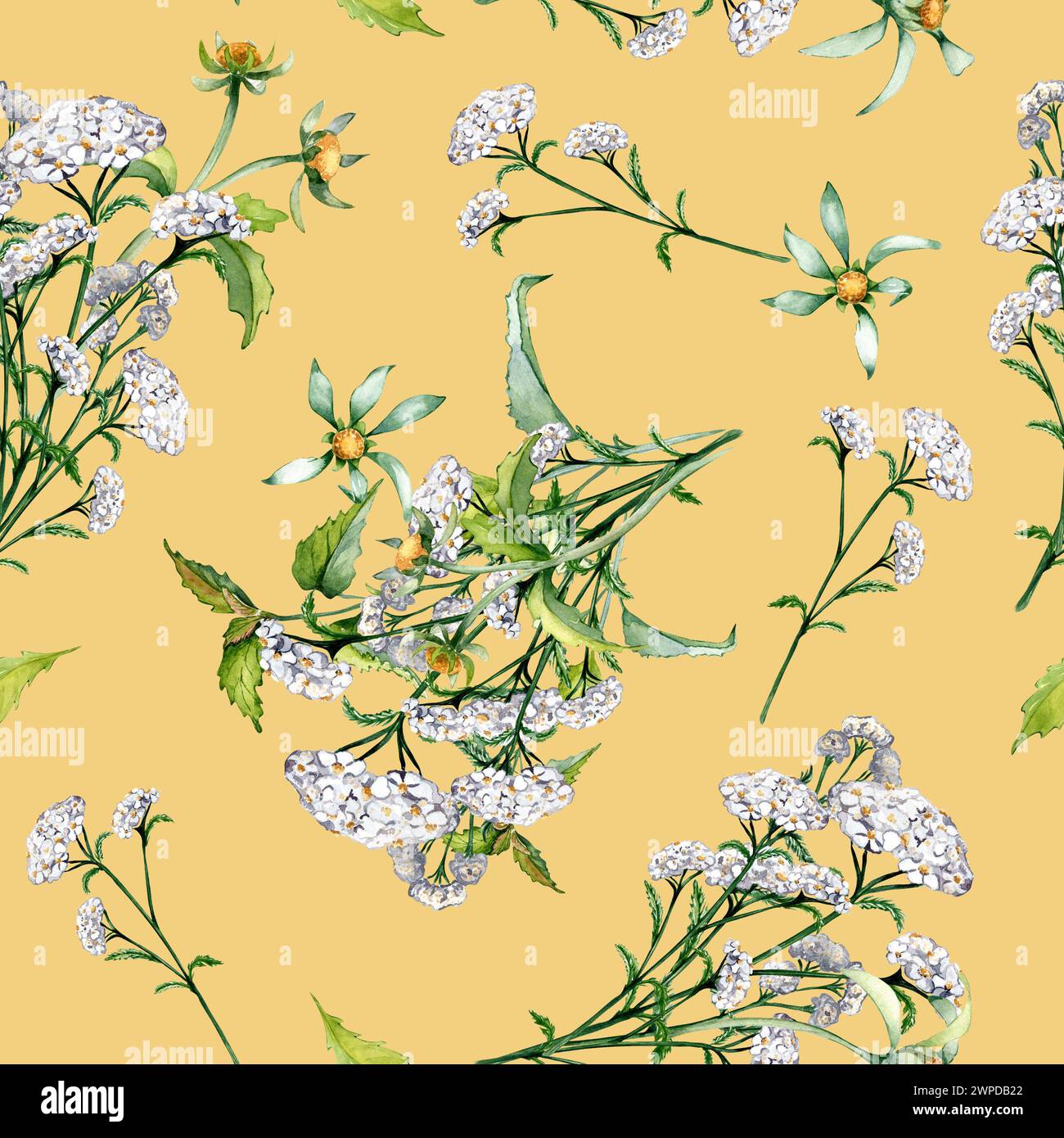 Achillea yarrow, nettle, bidens beggarticks watercolor seamless pattern isolated on beige. Medicinal flowers painted. Useful herbs, medicinal plants h Stock Photo