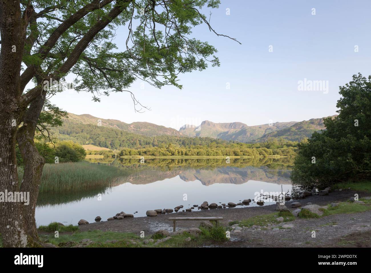 UK, Cumbria, Lake District, the Langdale pikes at dawn reflected in Elterwater. Stock Photo