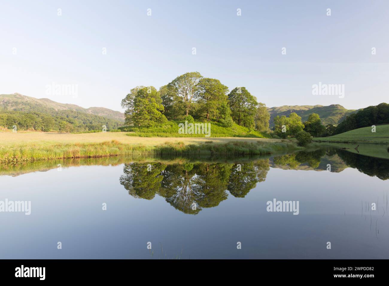 UK, Cumbria, Lake District, the Langdale pikes at dawn reflected in Elterwater. Stock Photo