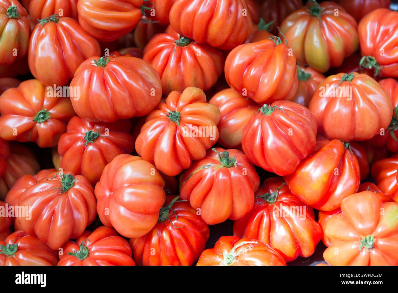 UK, London, Costoluto Fiorentino tomatoes for sale in Borough Market. Stock Photo
