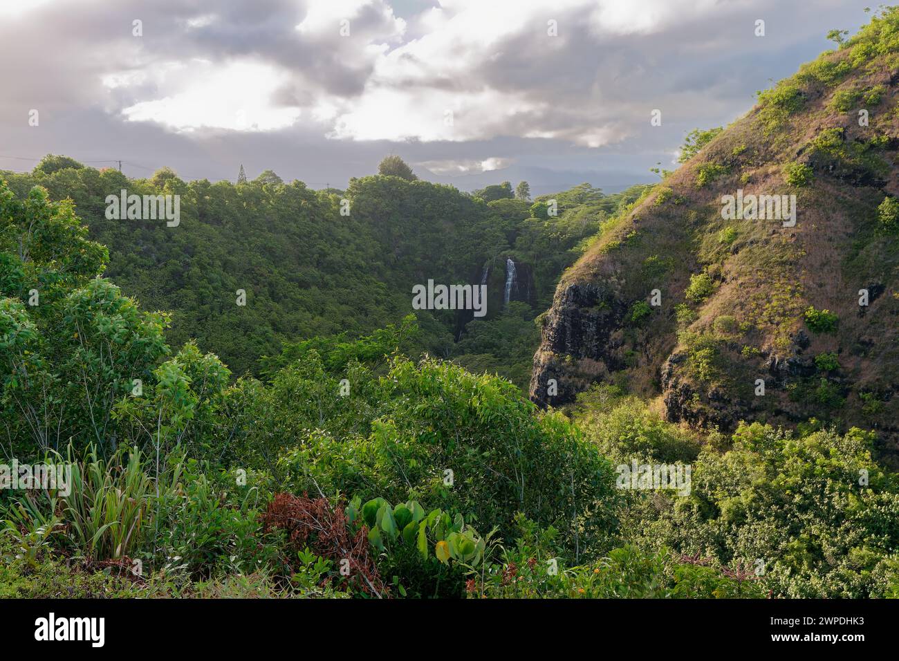 The Opaekaa Falls, a scenic waterfall in Wailua River State Park, Kauai, Hawaii, USA Stock Photo