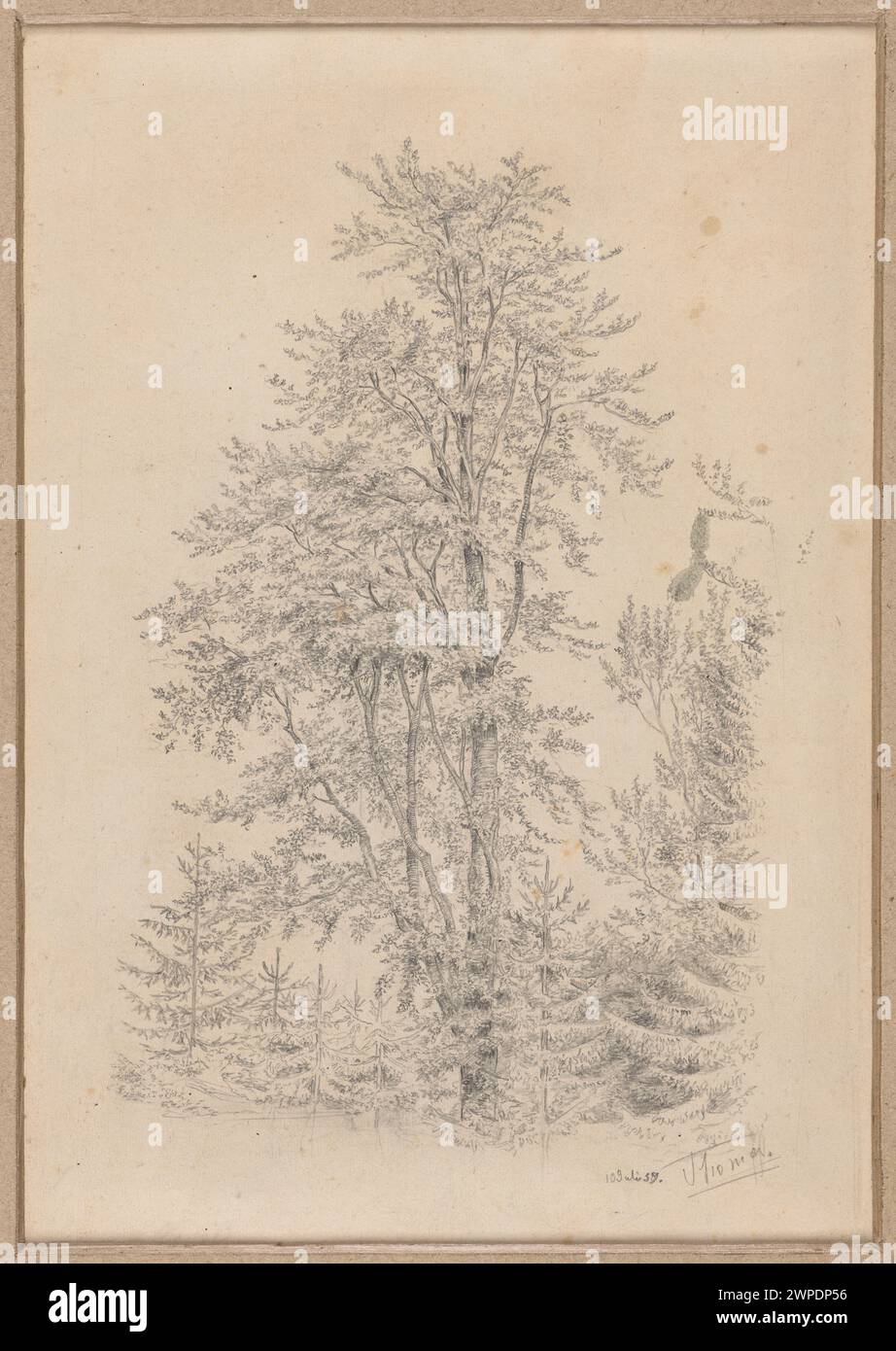 Promonient Tree Prominent scene depicting hi-res stock photography and images - Alamy