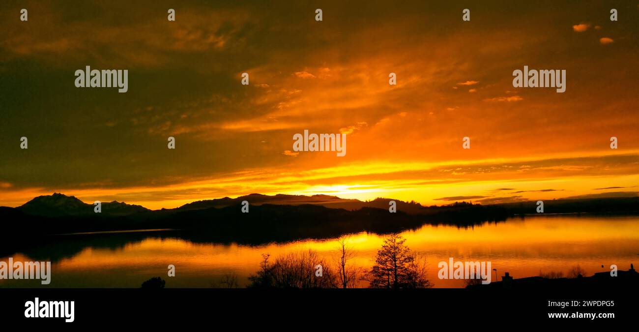 Tranquil lake behind trees hi-res stock photography and images - Alamy