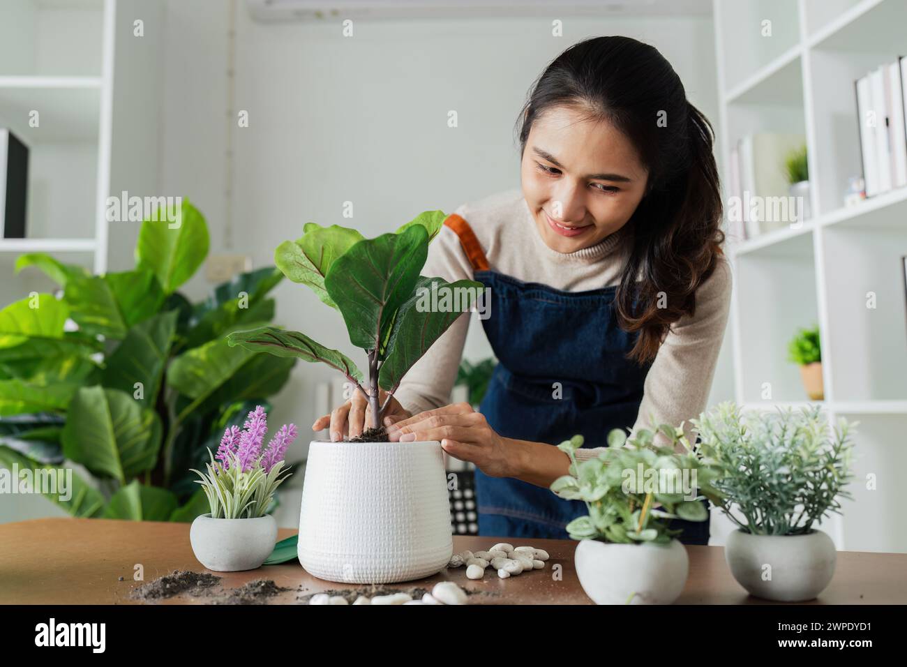 woman plant a flower in a pot to decorate the house to create a good ...