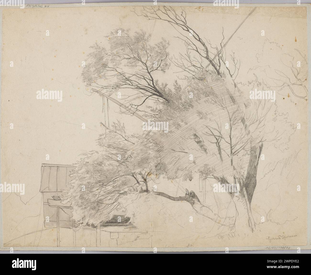 Thoma Tree 19th century german landscape hi-res stock photography and images - Alamy