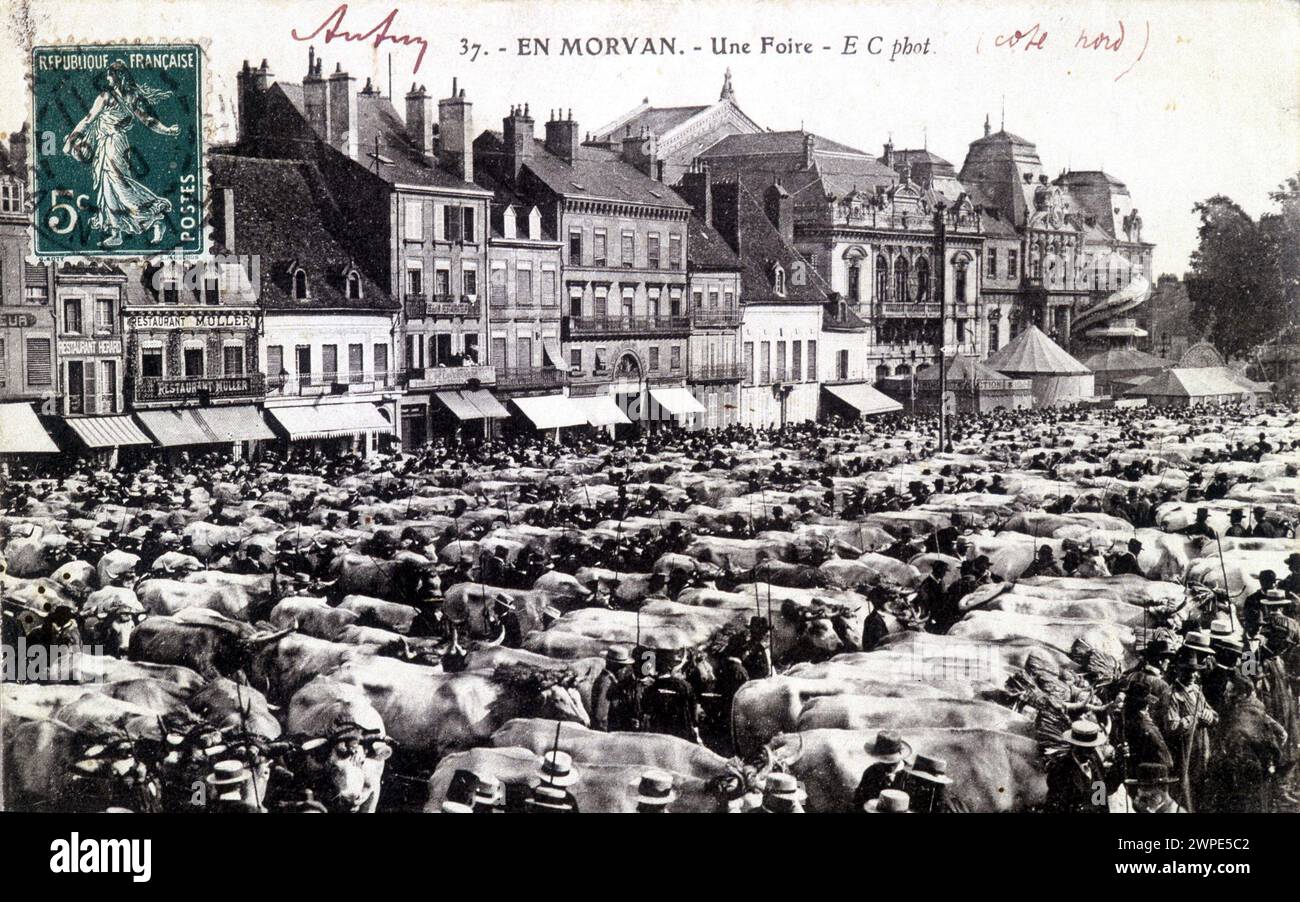 Cattle fair in Autun - postcard, 1910 Stock Photo