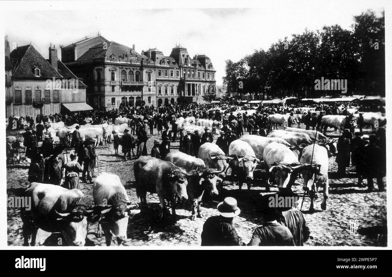 Cattle fair in Autun - postcard, early 20th century Stock Photo