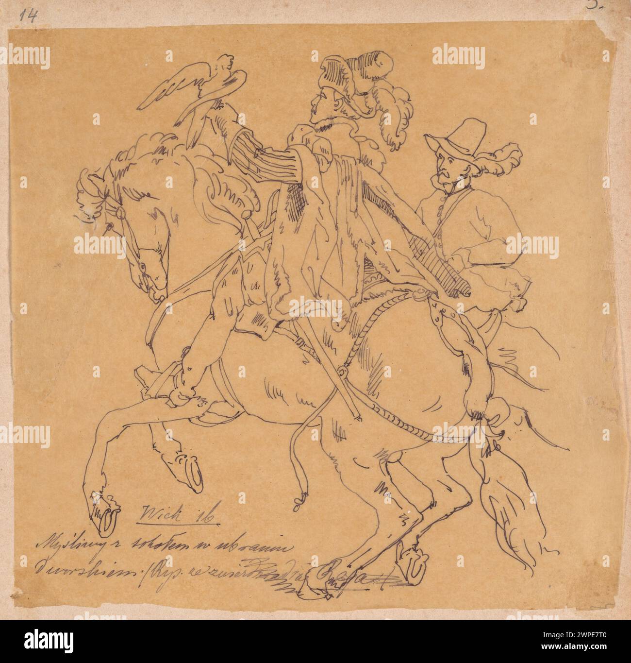 Illustration of a 16th-century rider with a falcon (Sokół), reproduced ...
