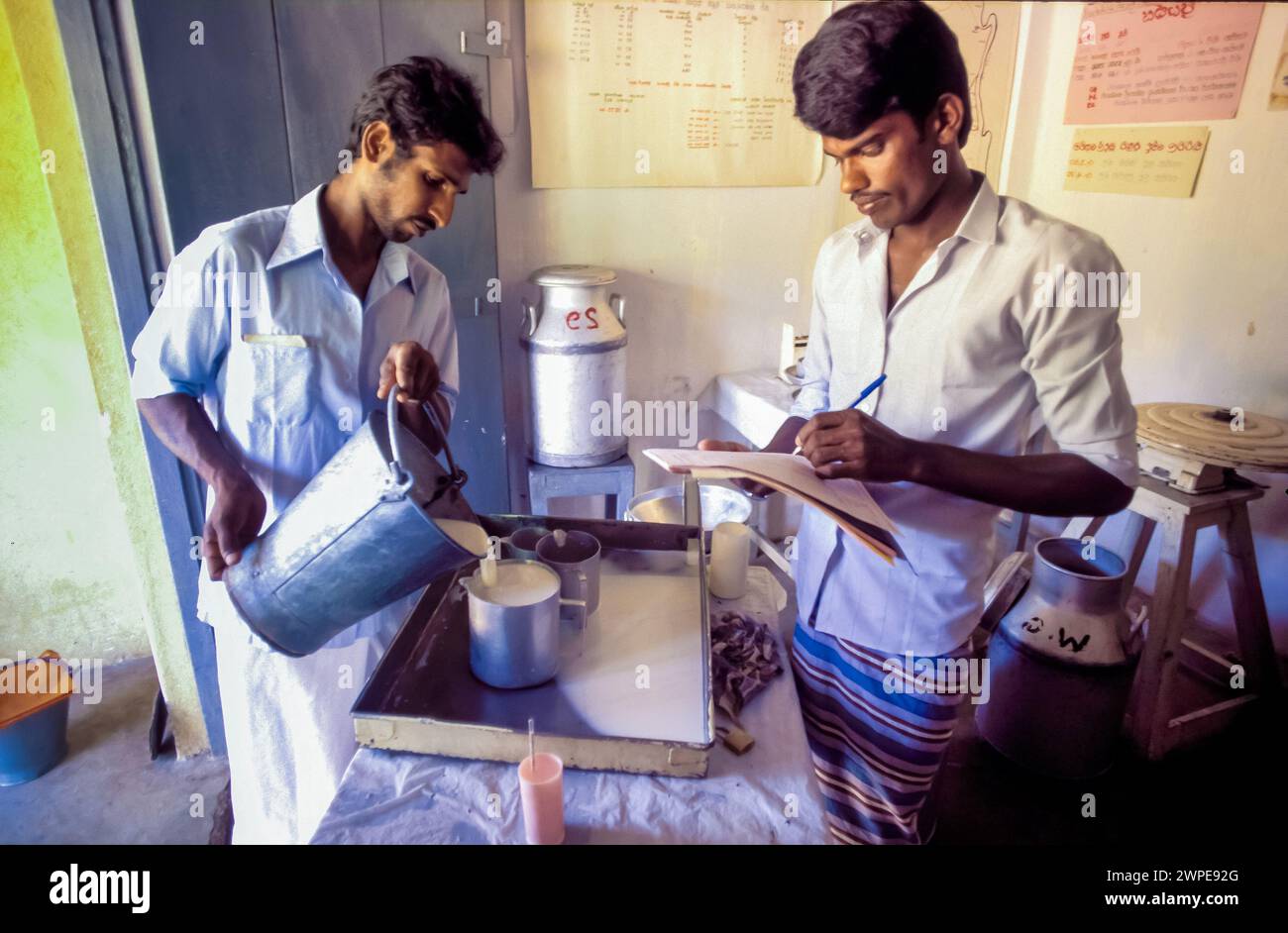 Sri Lanka, Kandy, farmers bring their freshly milked milk to the collection point of the National Livestock Development Board. Stock Photo