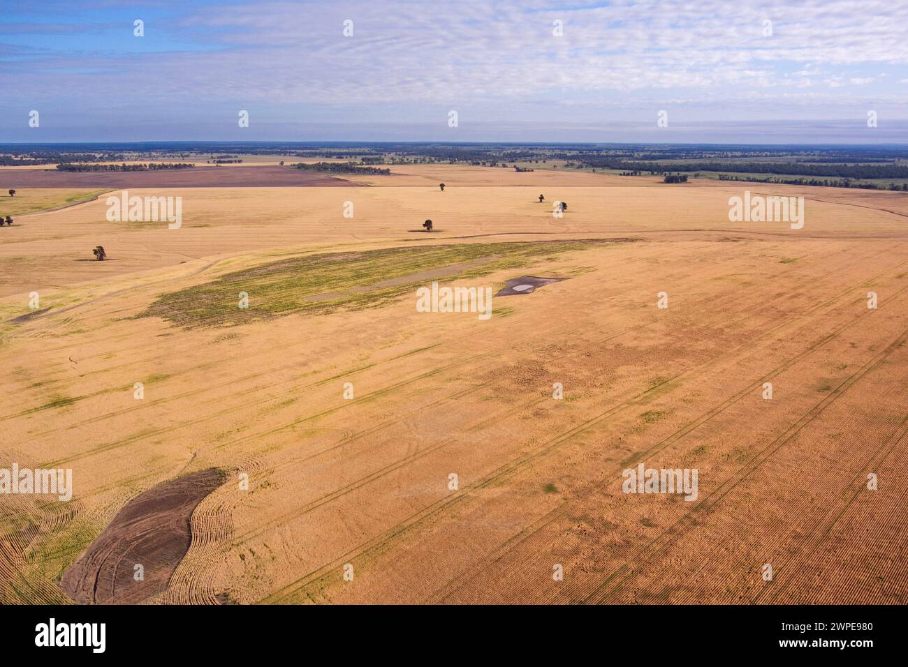 Aerial of wheat fields on the banks of Frogmore Creek near Surat Queensland Australia Stock Photo