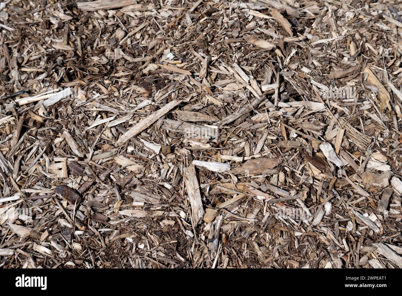 Woodchips for mulching gardens, UK Stock Photo