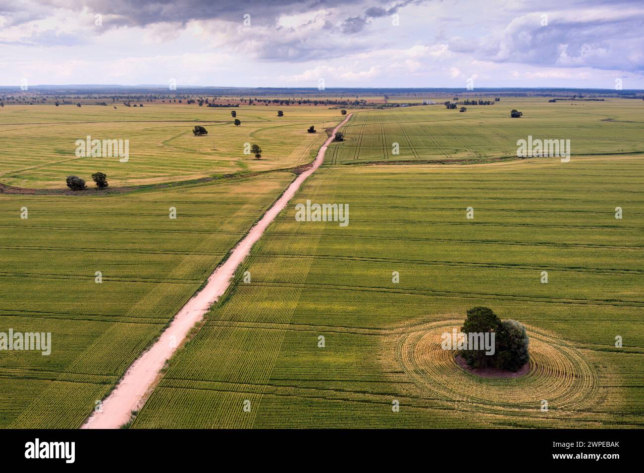 Aerial of rural unsealed road passing through fields of wheat near Wallumbilla Queensland Australia Stock Photo