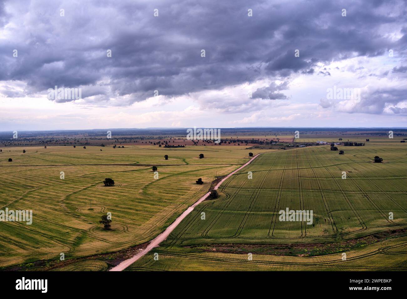 Aerial of rural unsealed road passing through fields of wheat near Wallumbilla Queensland Australia Stock Photo