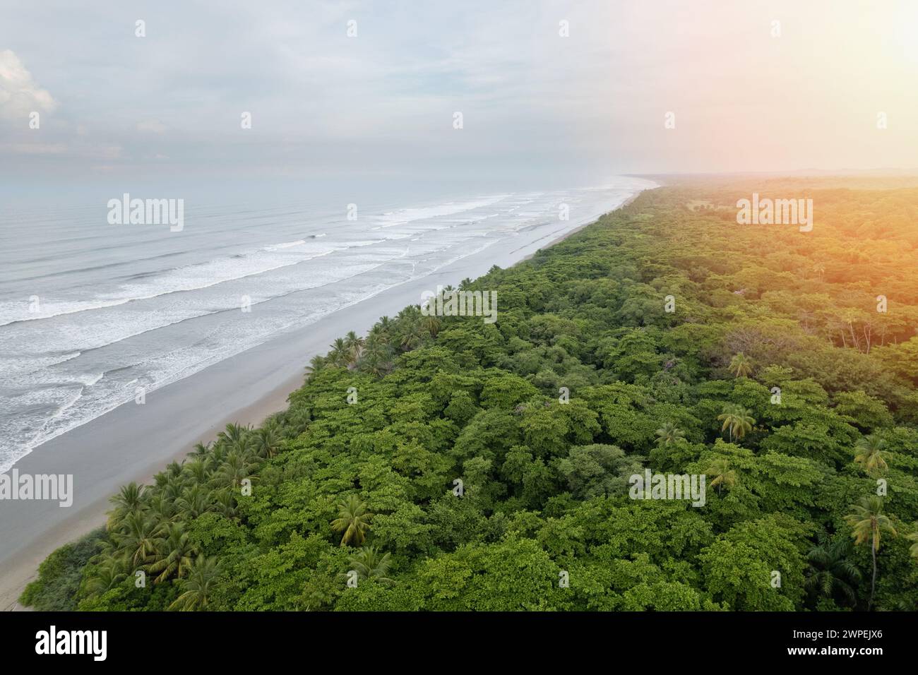 Jungle forest next to coastline aerial drone view Stock Photo