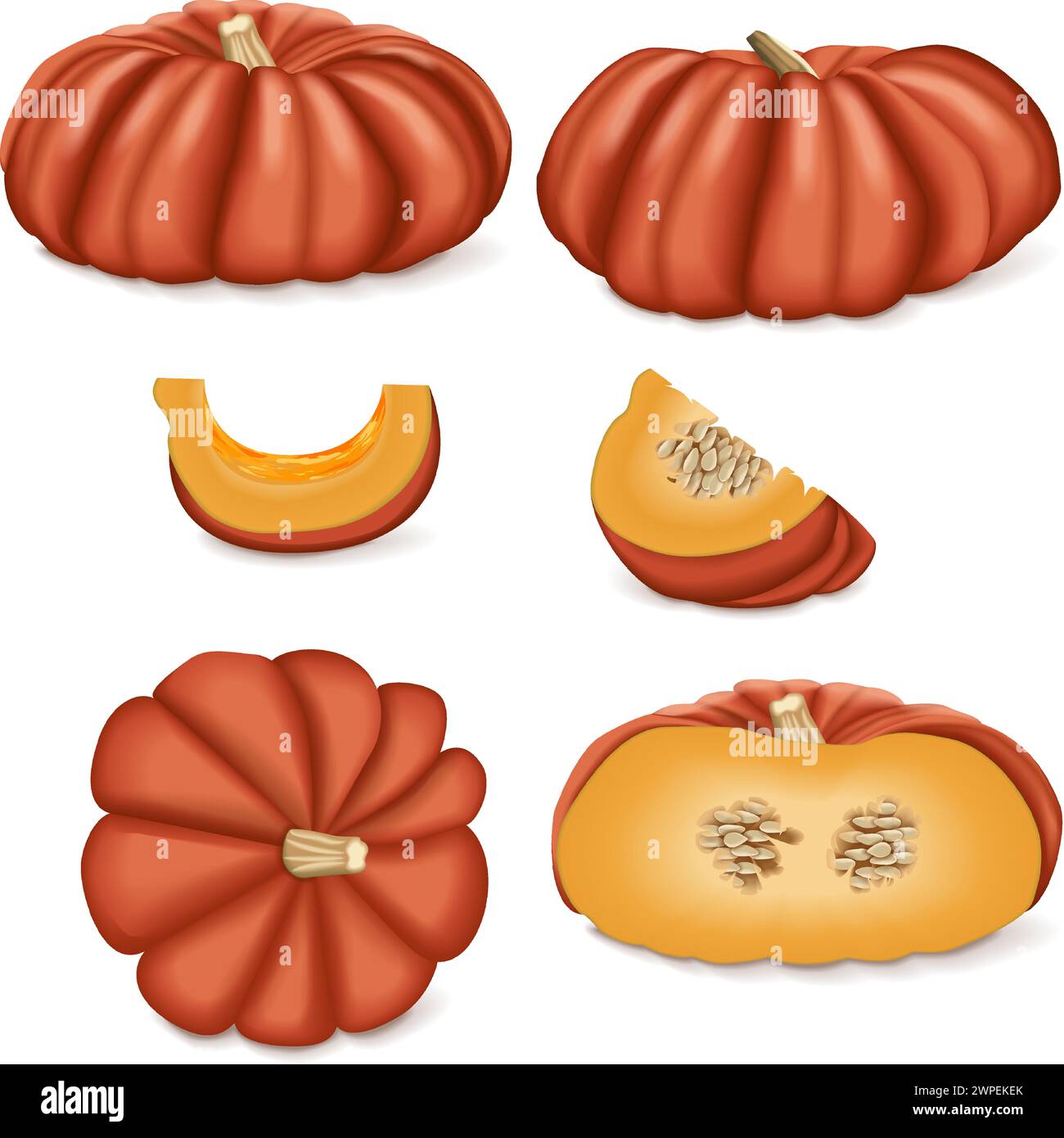 Clip art of Cinderella pumpkin. Rouge Vif D Etampes. Winter squash. Cucurbita maxima. Fruits and vegetables. Isolated vector illustration. Stock Vector