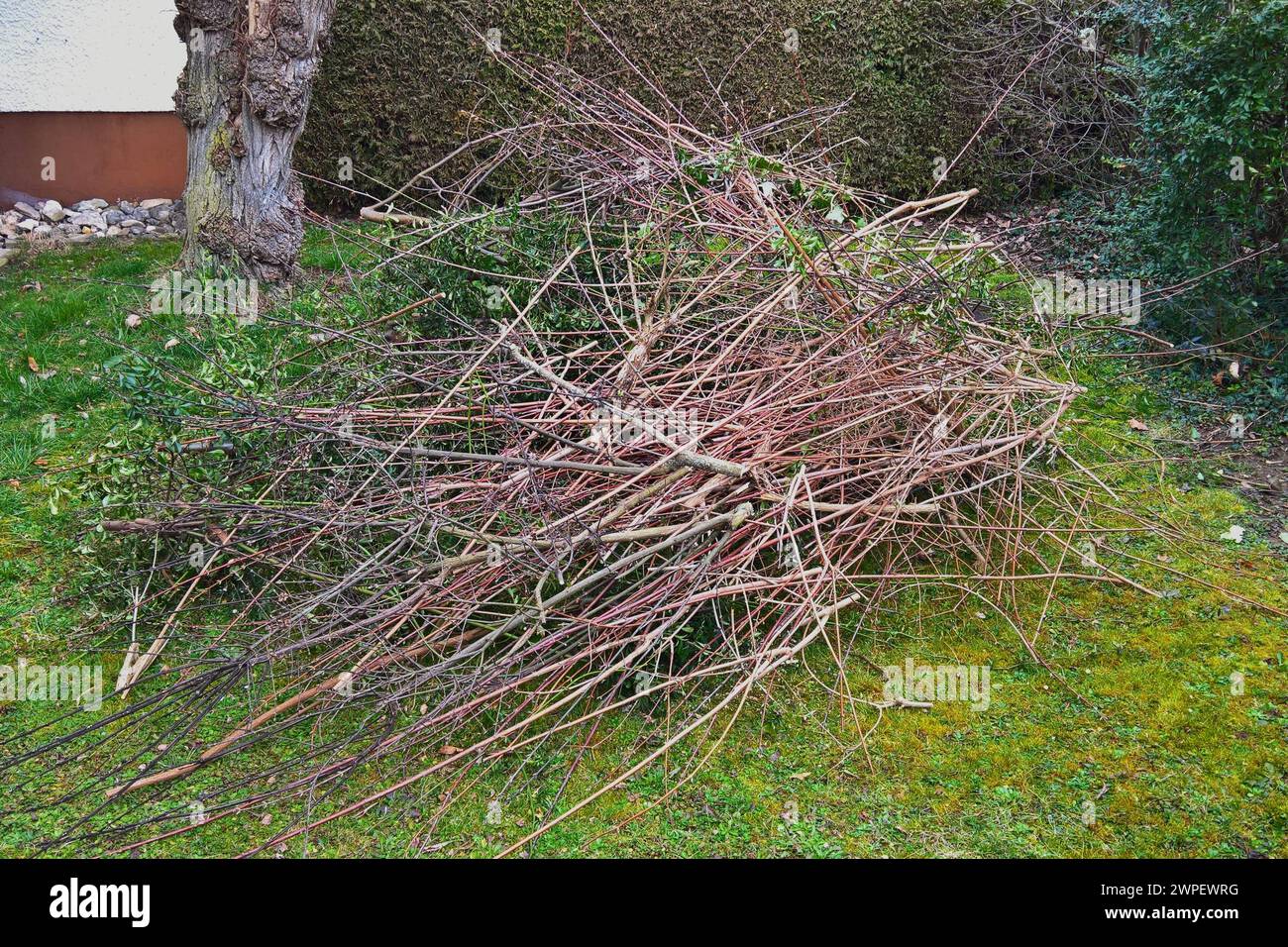 Gartenbau in der ausbildung hires stock photography and images Alamy
