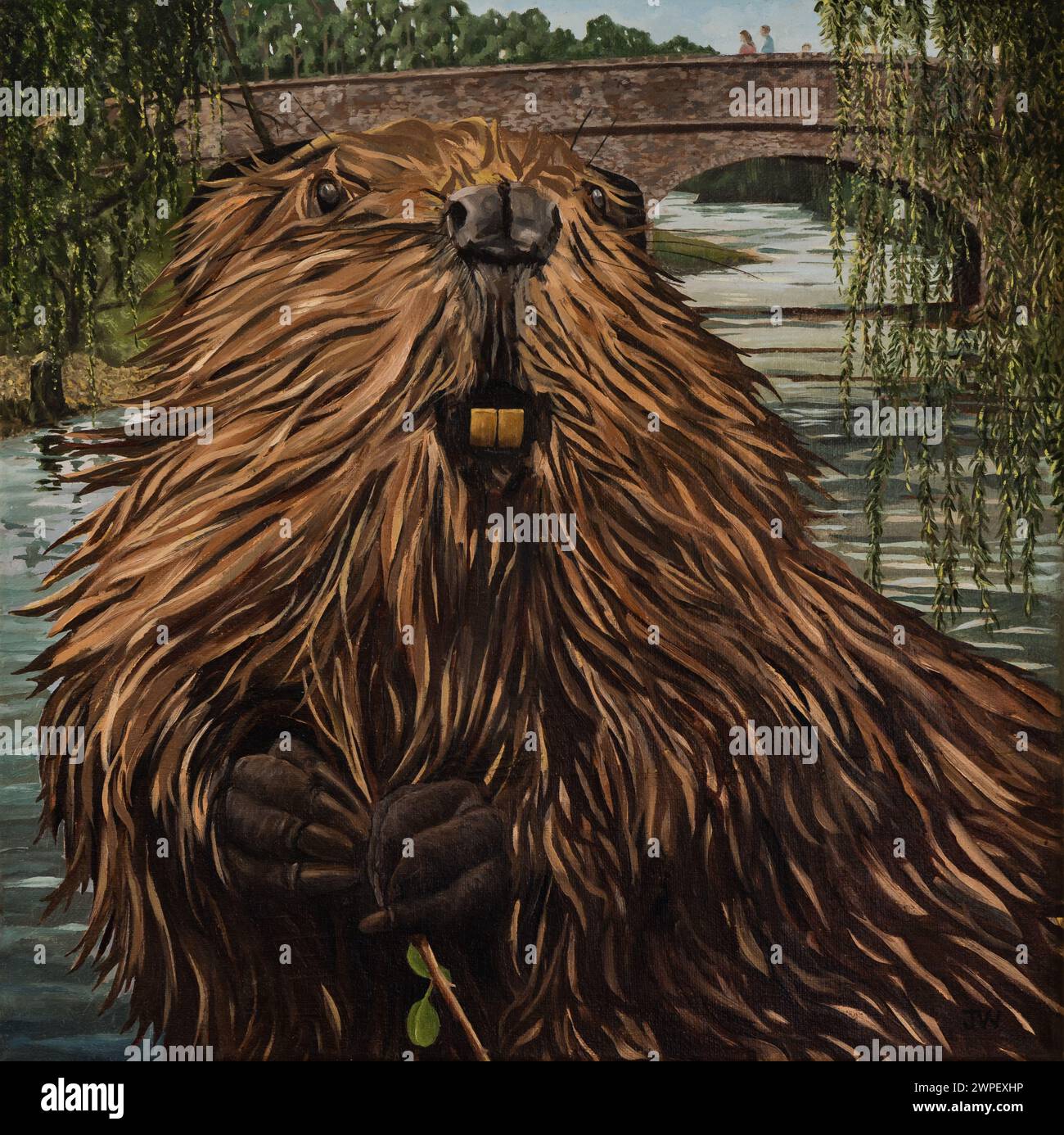 Oil painting of a Beaver by John Washington. Stock Photo