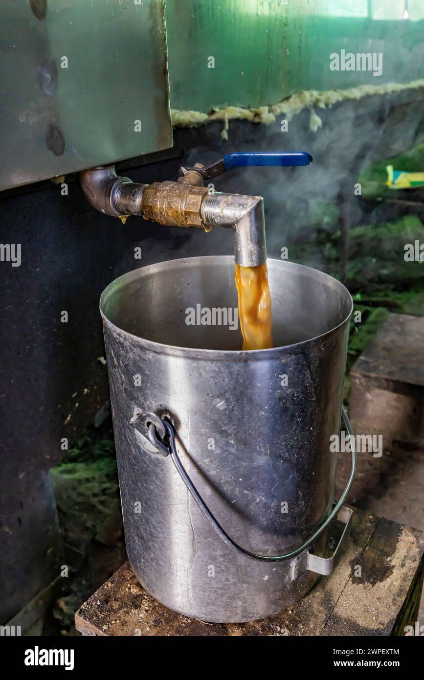 Finished maple syrup drawn from evaporator on an Amish farm in Michigan