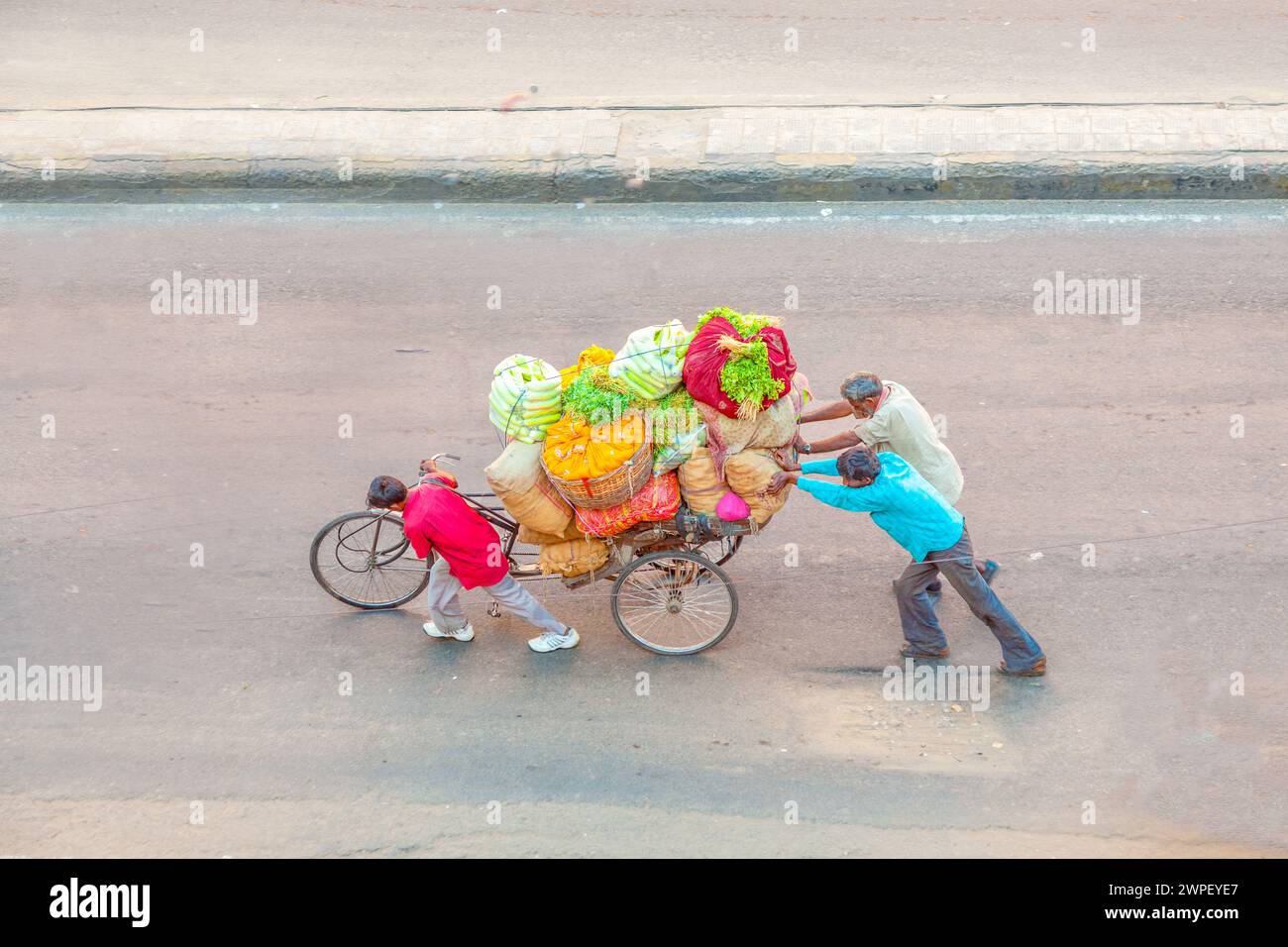 JAIPUR, INDIA - NOV 13, 2011: farmer carry their vegetables in a rickshaw and pull the cart along the main street with the whole family. Stock Photo