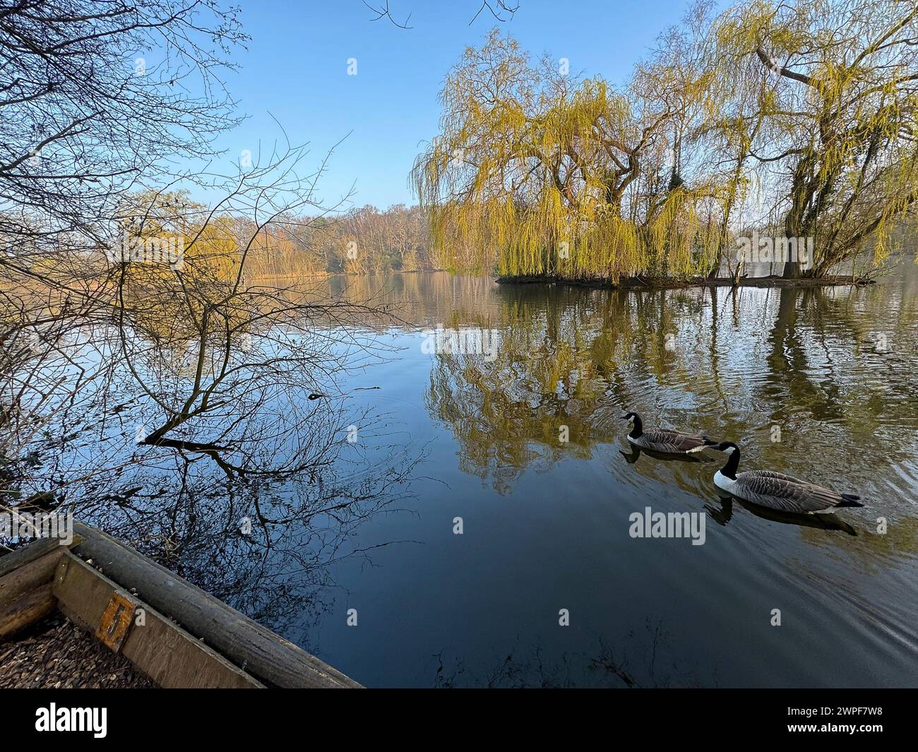 Worplesdon uk hires stock photography and images Alamy