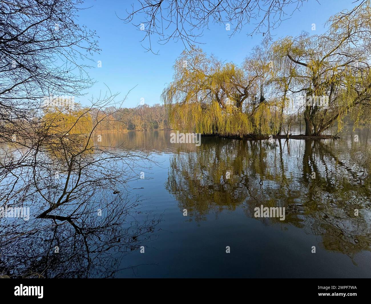 Worplesdon uk hires stock photography and images Alamy