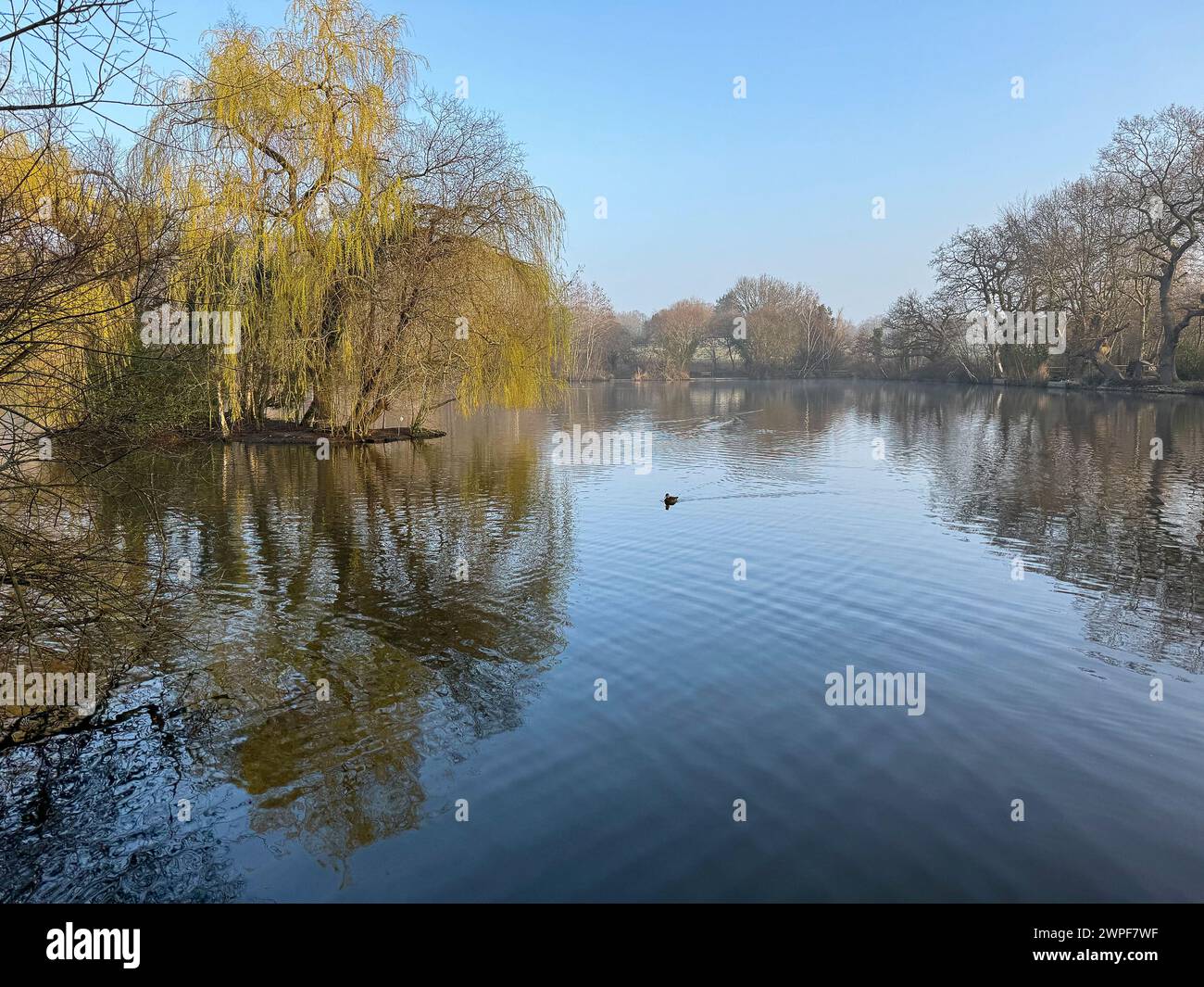 Worplesdon uk hires stock photography and images Alamy