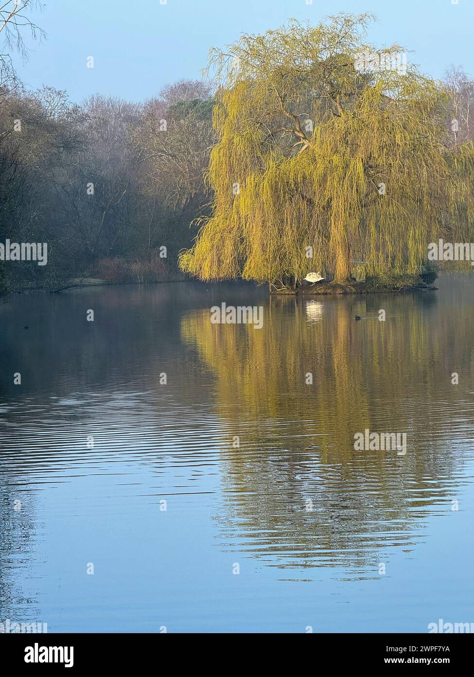 Worplesdon uk hires stock photography and images Alamy