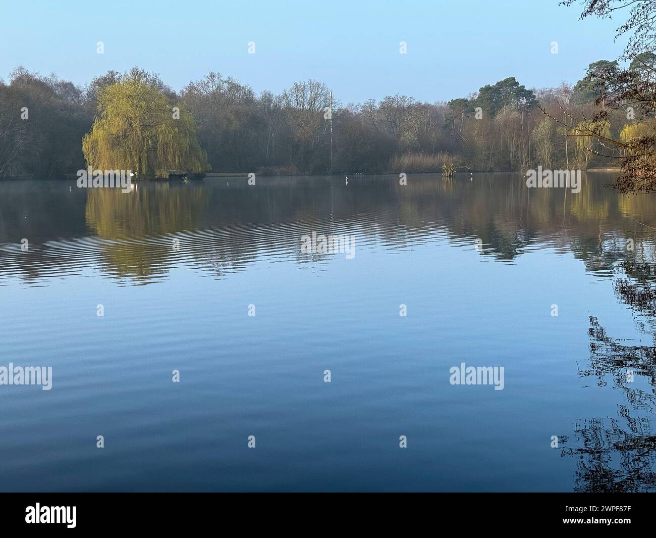 Worplesdon uk hires stock photography and images Alamy