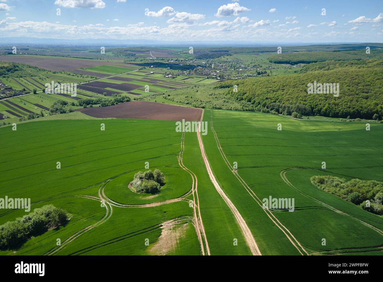 Aerial view of green farm fields in summer season with growing crops ...