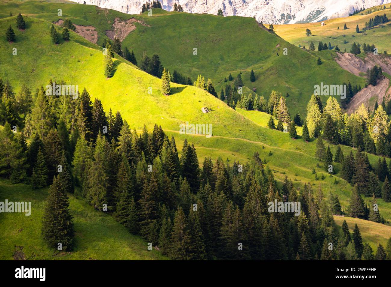 Dolomite alps in Italy, high mountain and green forest Stock Photo - Alamy